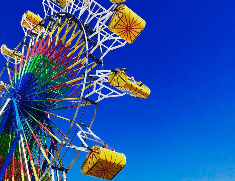 Great Ogeechee Seafood Festival Reflections